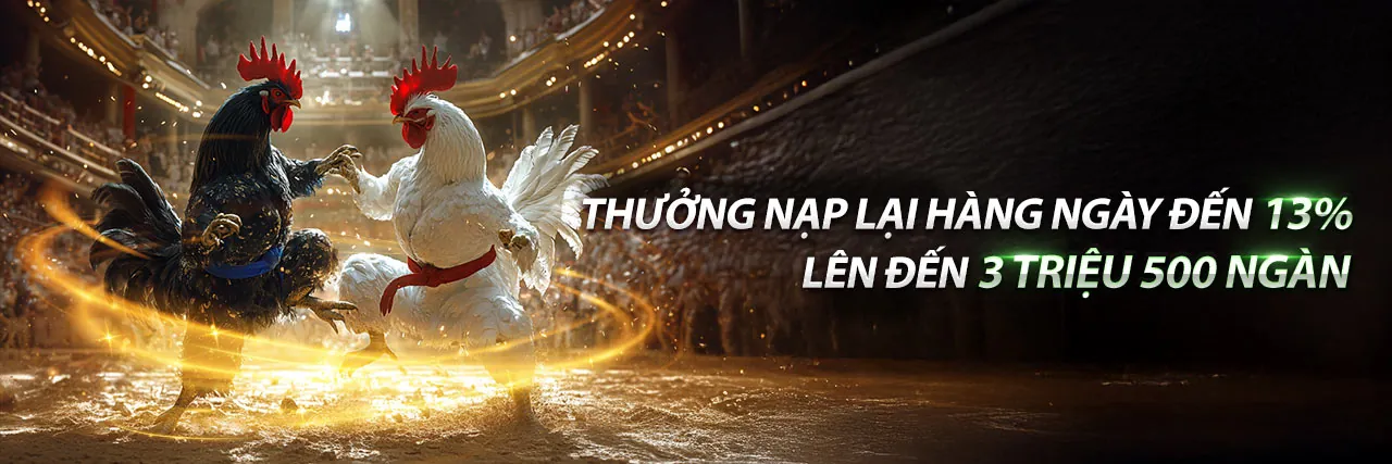Đá gà trực tuyến kịch tính tại tải hz88c